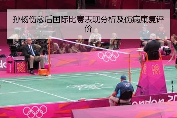 孙杨伤愈后国际比赛表现分析及伤病康复评价